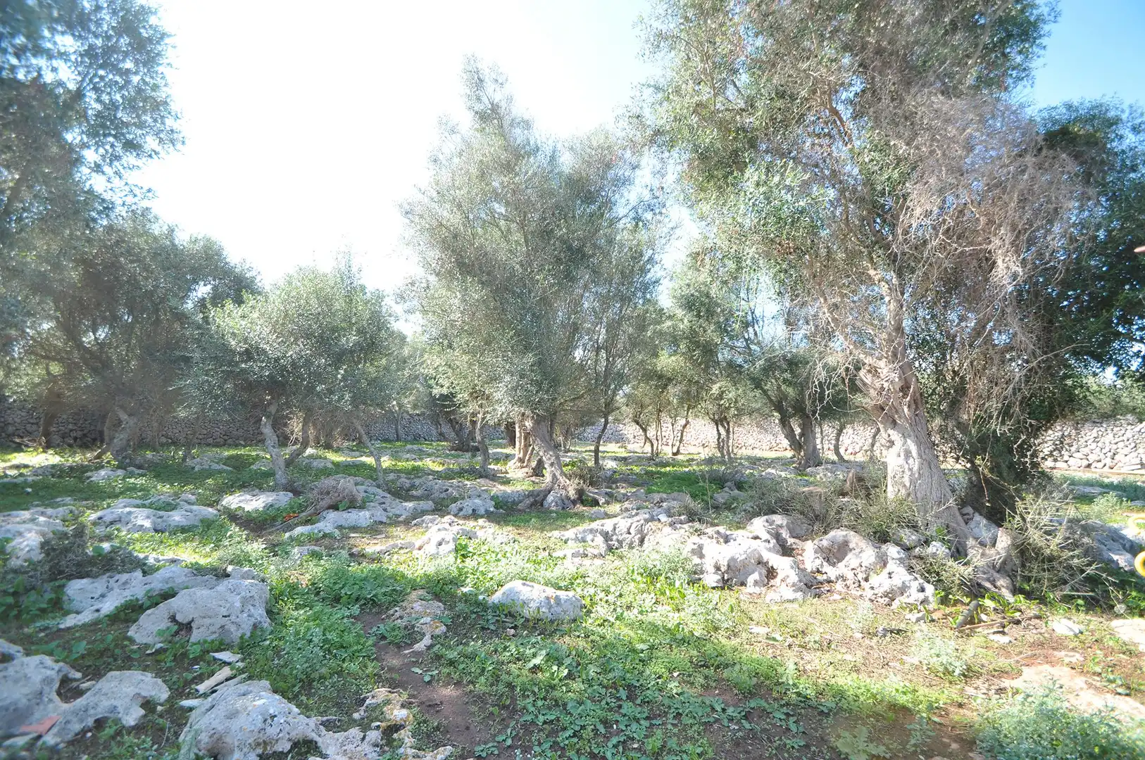 Xalet amb piscina en venda a Sant Lluís - S'Ullestrar - Torret, imagen 6