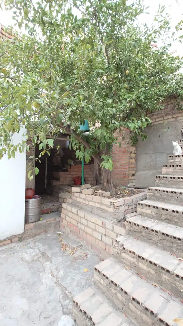 Vista exterior de Casa o chalet en venta en Aznalcóllar con Jardín privado y Alarma