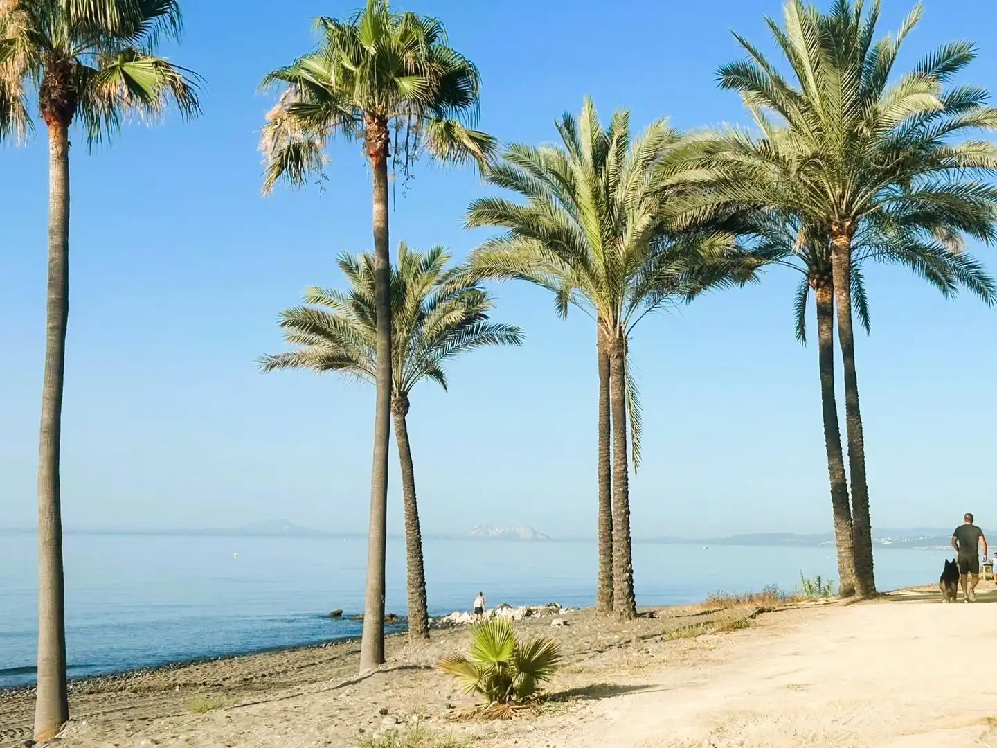 Àtic amb terrassa en venda a Estepona Pueblo, imagen 22