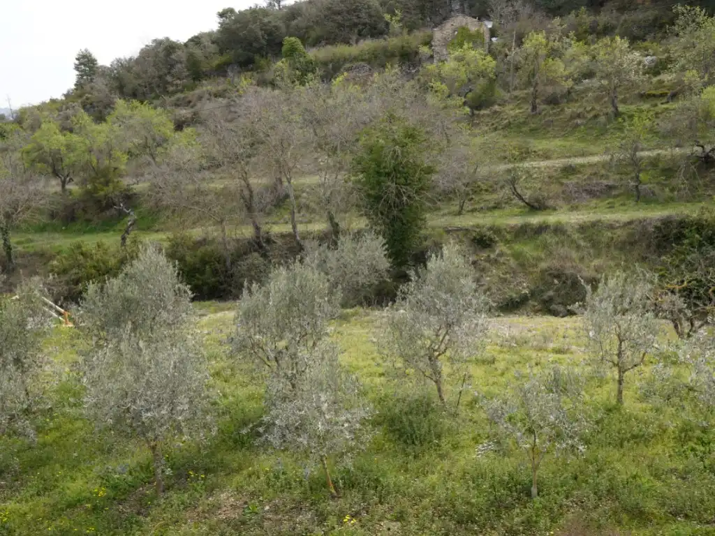Casa o chalet en venta en Calle Alta, Abizanda