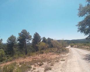 Land for sale in Mira