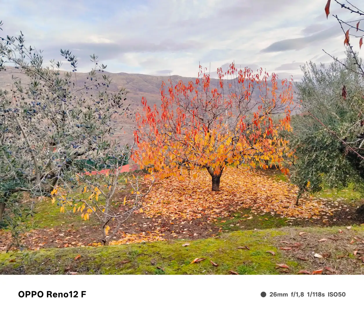 Garden of Residential for sale in Valdastillas