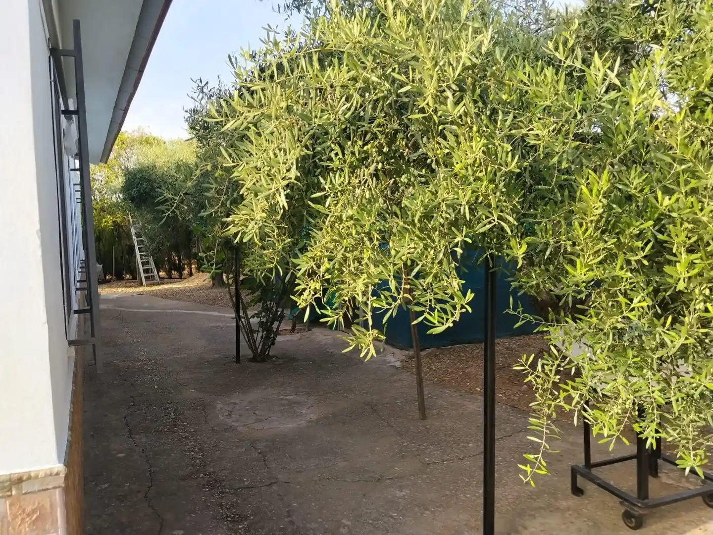 Jardí de Finca rústica en venda en La Carlota amb Piscina