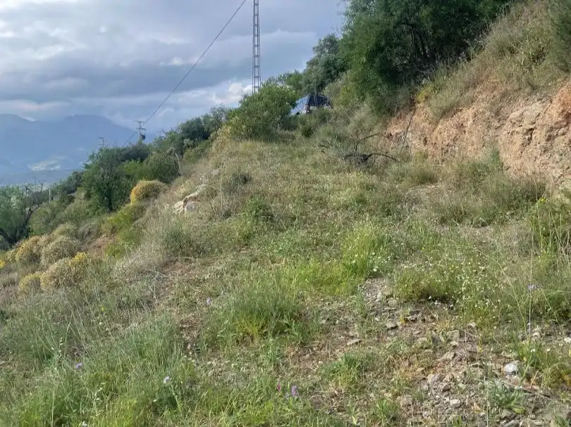 Terreno en venta en Guaro