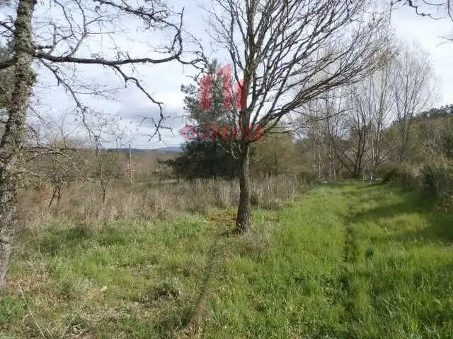 Terreni e lotti in vendita a O Pereiro de Aguiar, imagen 2