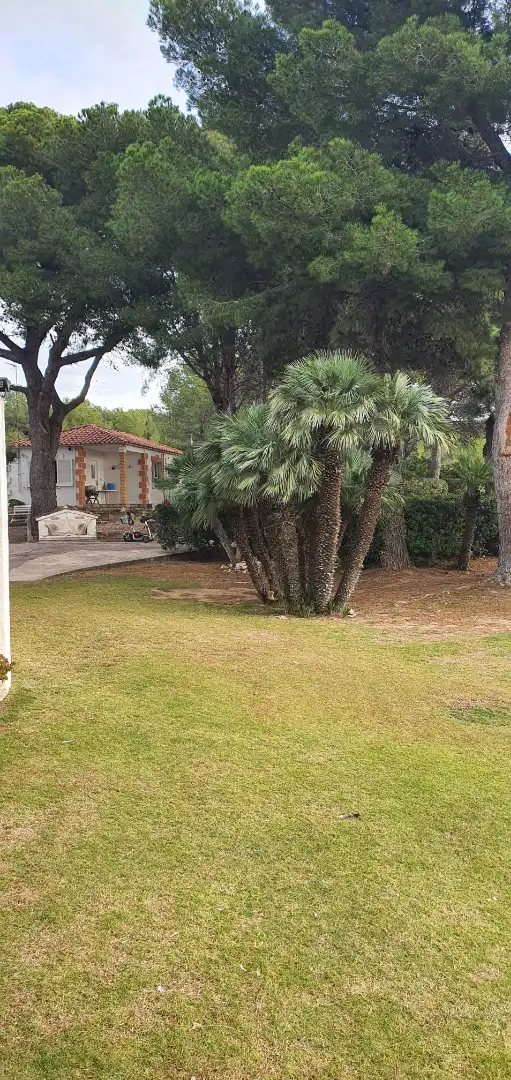 Casa o xalet en venda en El Vendrell amb Aire condicionat, Jardí privat i Terrassa