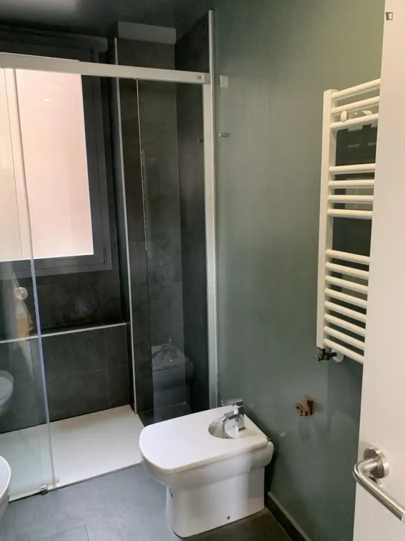 Baño de Apartamento de alquiler en Centro