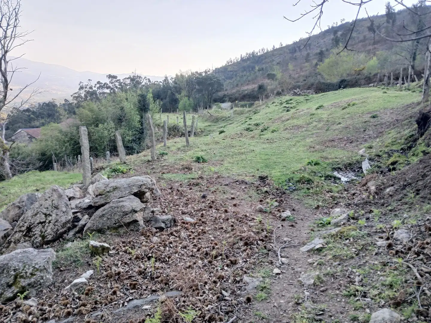 Casa o chalet en venta en As Neves   con Jardín privado