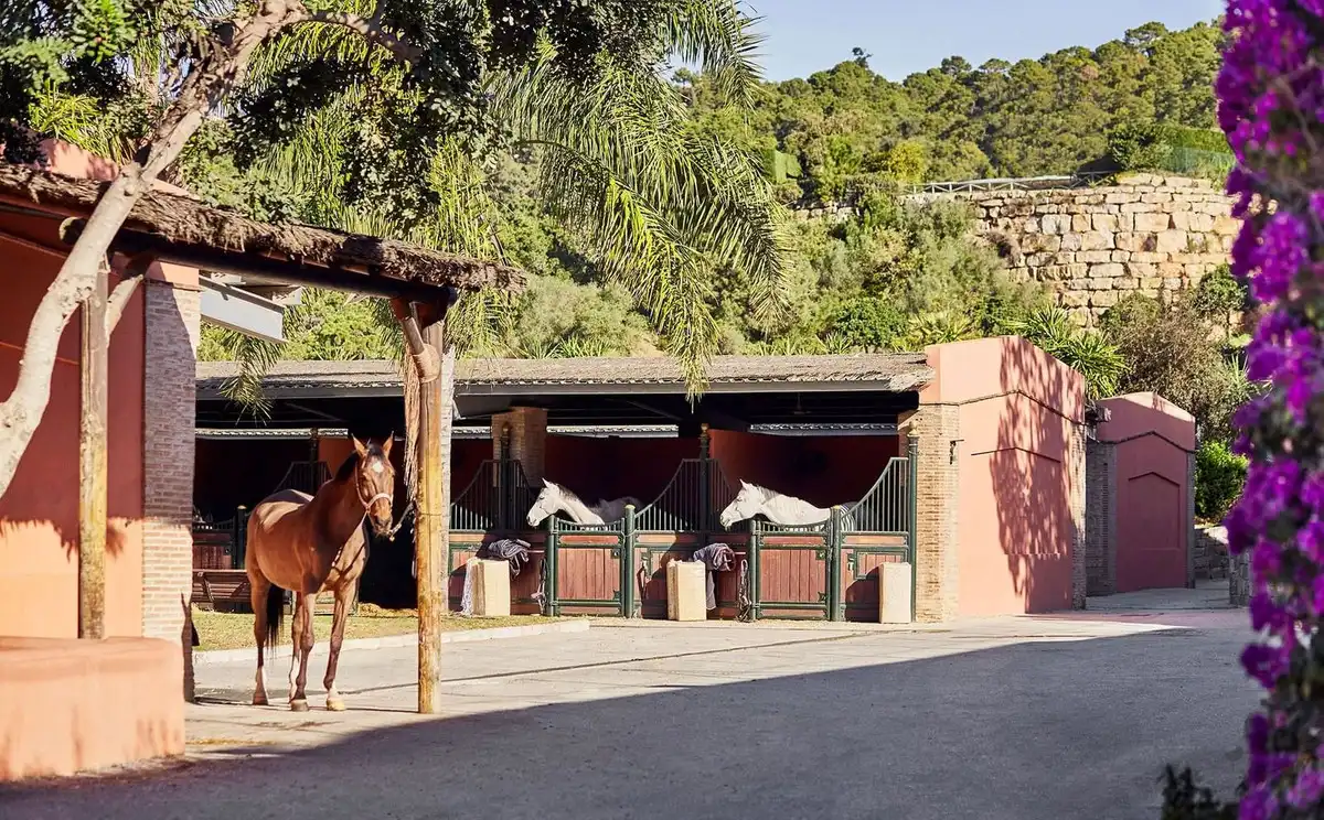 Vista exterior de Casa o xalet en venda en Benahavís amb Aire condicionat, Terrassa i Moblat