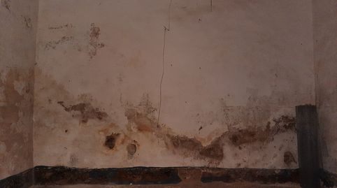Photo 4 of Houses for sale in Calle Francisco Lizaur, 19, Brozas, Cáceres