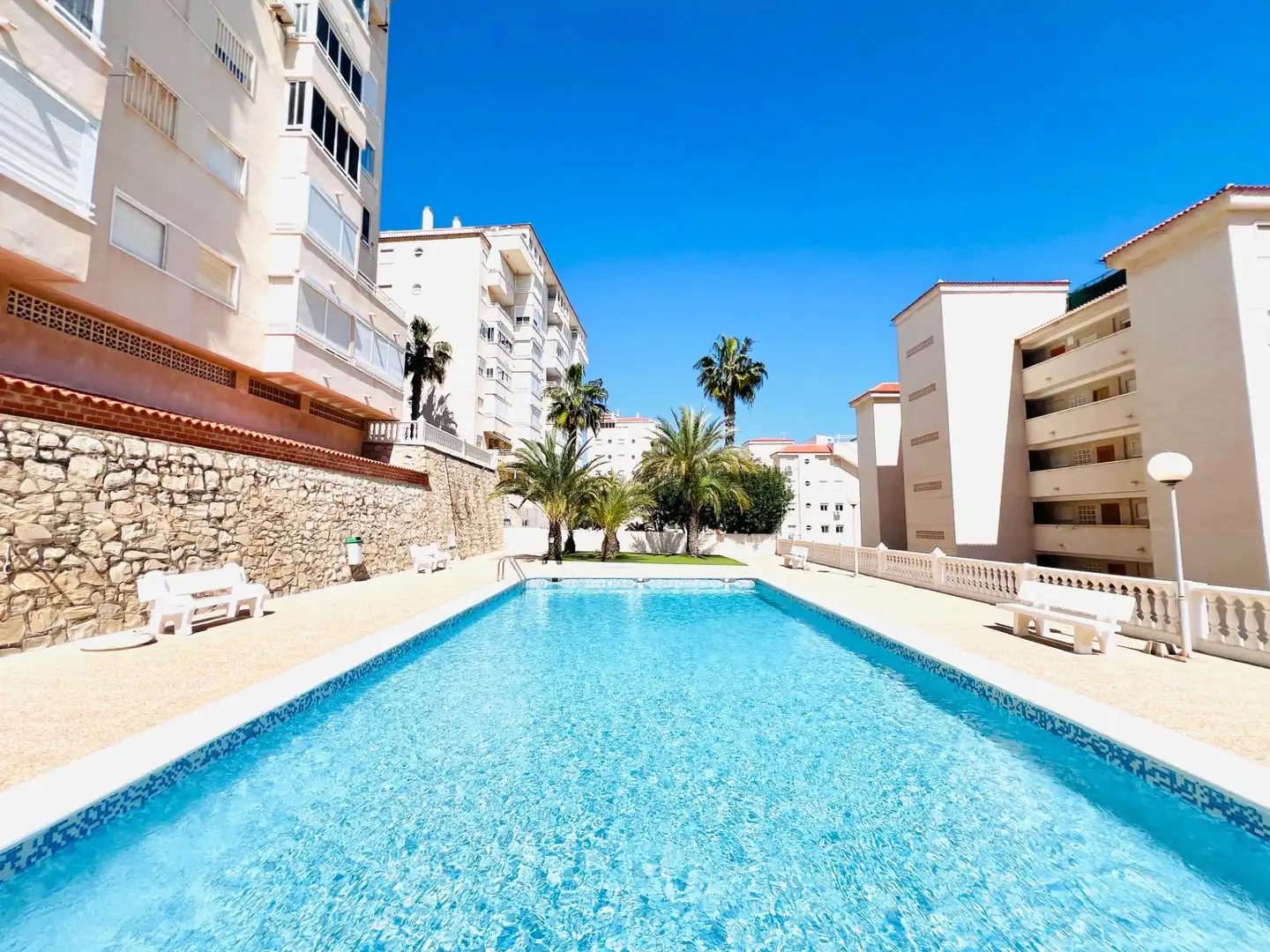 Schwimmbecken von Wohnungen zum Verkauf in Elche / Elx mit Privatgarten, Möbliert und Gemeinschaftspool