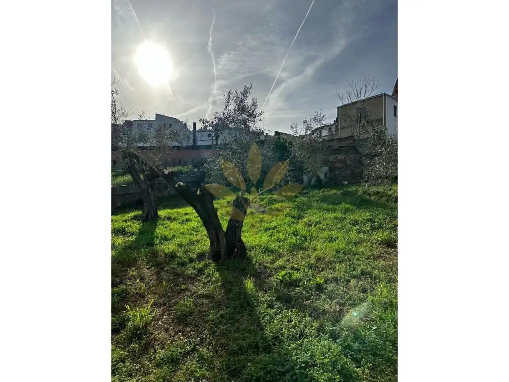 Terreni e lotti in vendita a Casco Antiguo, imagen 7