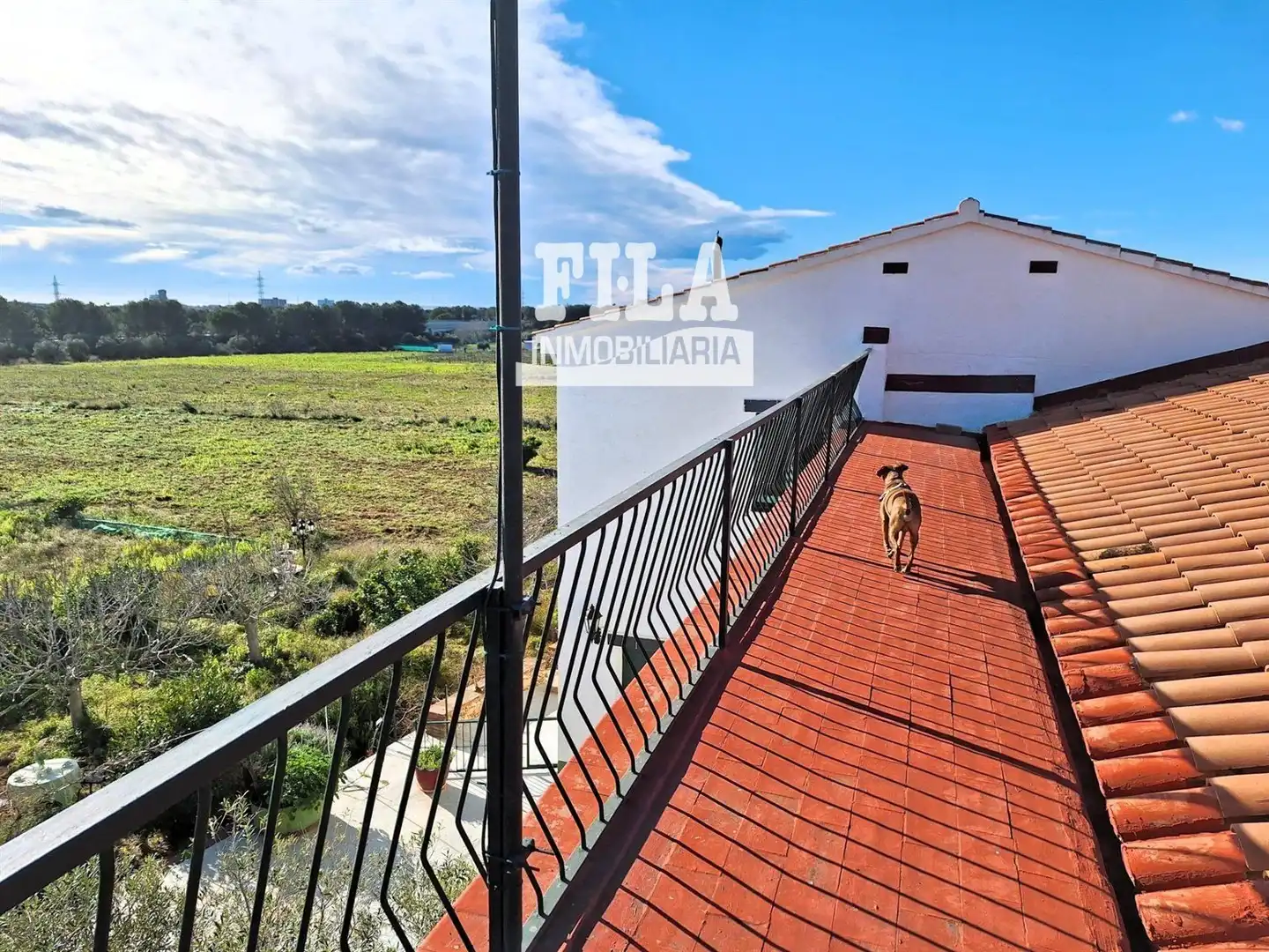 Villa à vendre à La Franquesa - Oasis Park, imagen 37