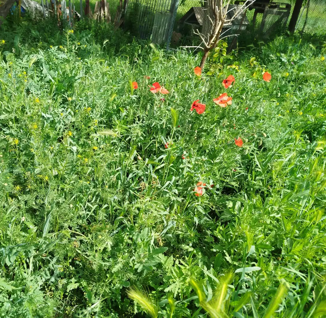 Jardí de Casa o xalet en venda en Fuentidueña de Tajo amb Aire condicionat, Calefacció i Jardí privat
