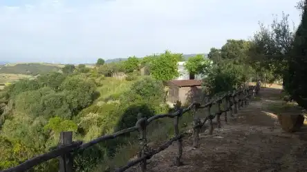 Garden of Land for sale in Cádiz