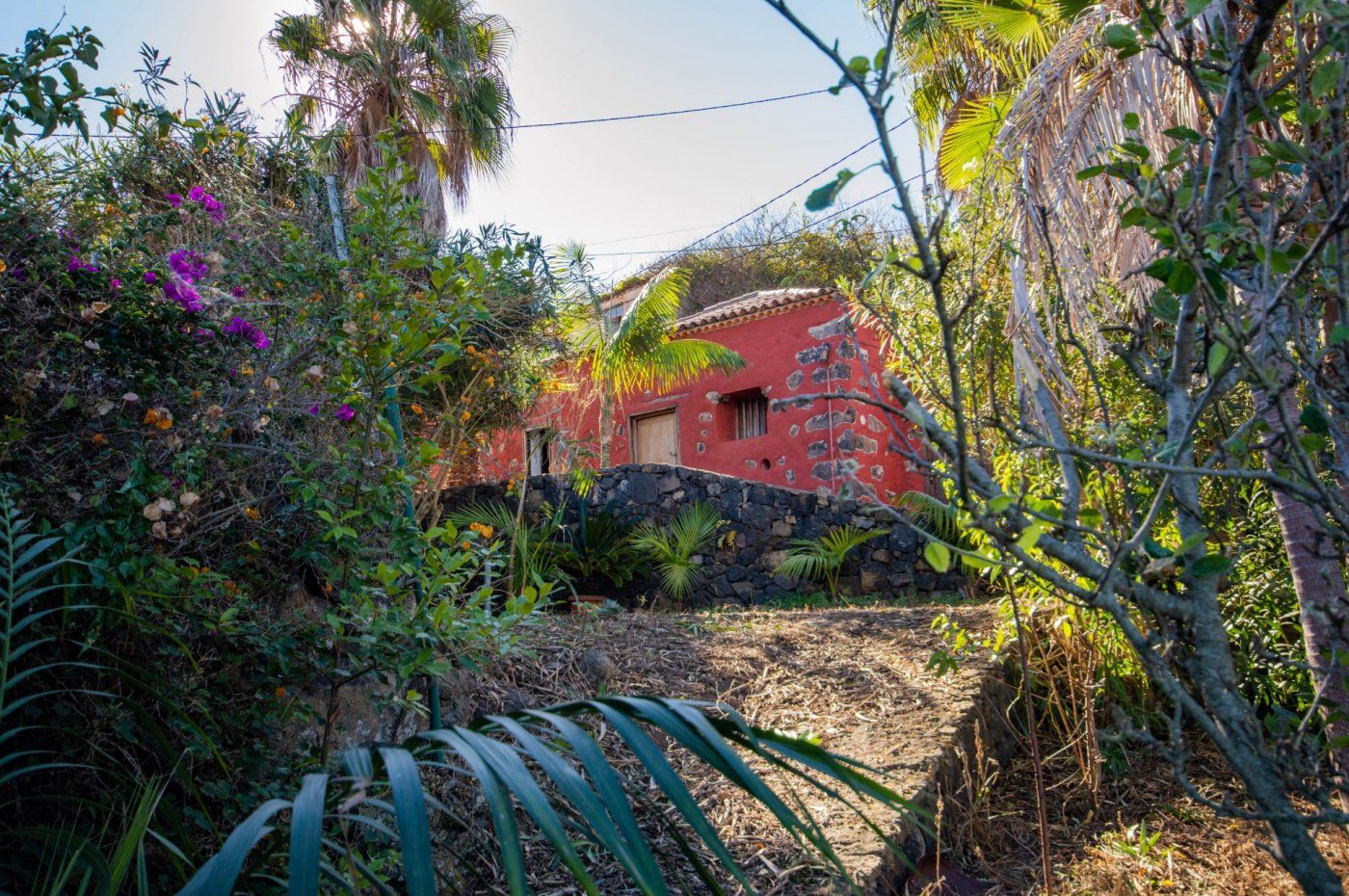 Vista exterior de Finca rústica en venda en Icod de los Vinos amb Jardí privat