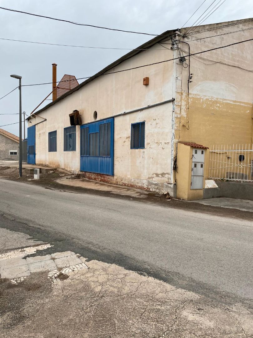 Exterior view of Industrial buildings for sale in Molina de Segura