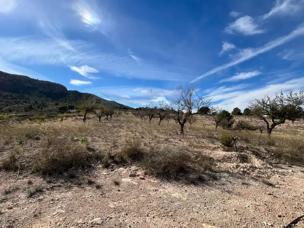 Casa o xalet en venda a San Crispín - Huerta Nueva-Estación