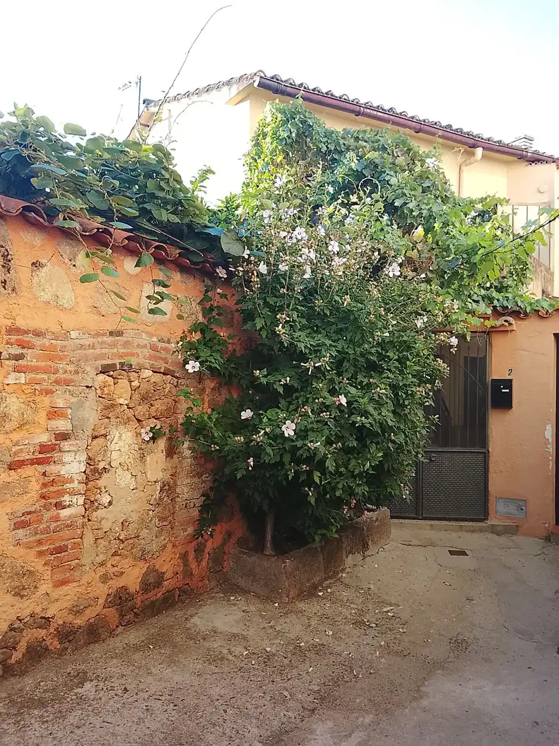Reihenhaus mit Garten zum Verkauf in Madrigal de la Vera, imagen 2