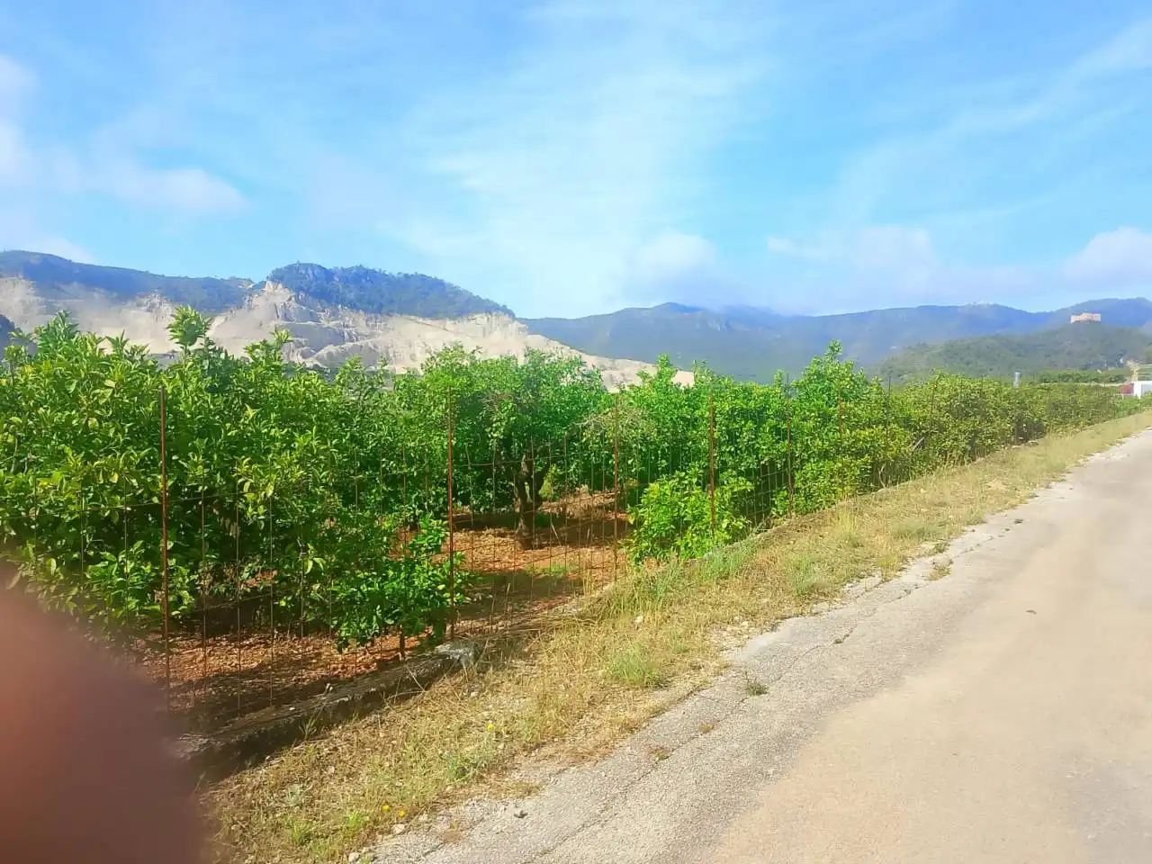 Land for sale in L'Atzúbia