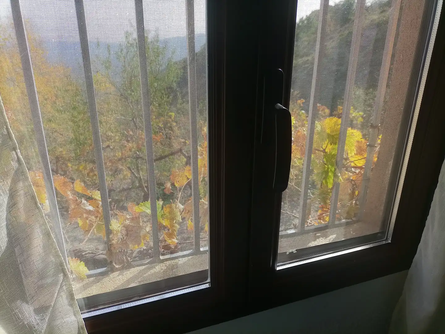 Terreny rústic en venda a Alpujarra de la Sierra, imagen 15