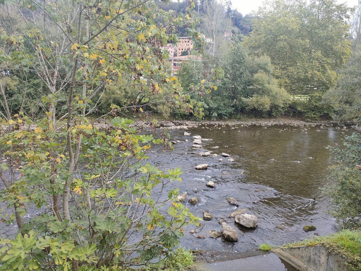 Flat for rent in Sama