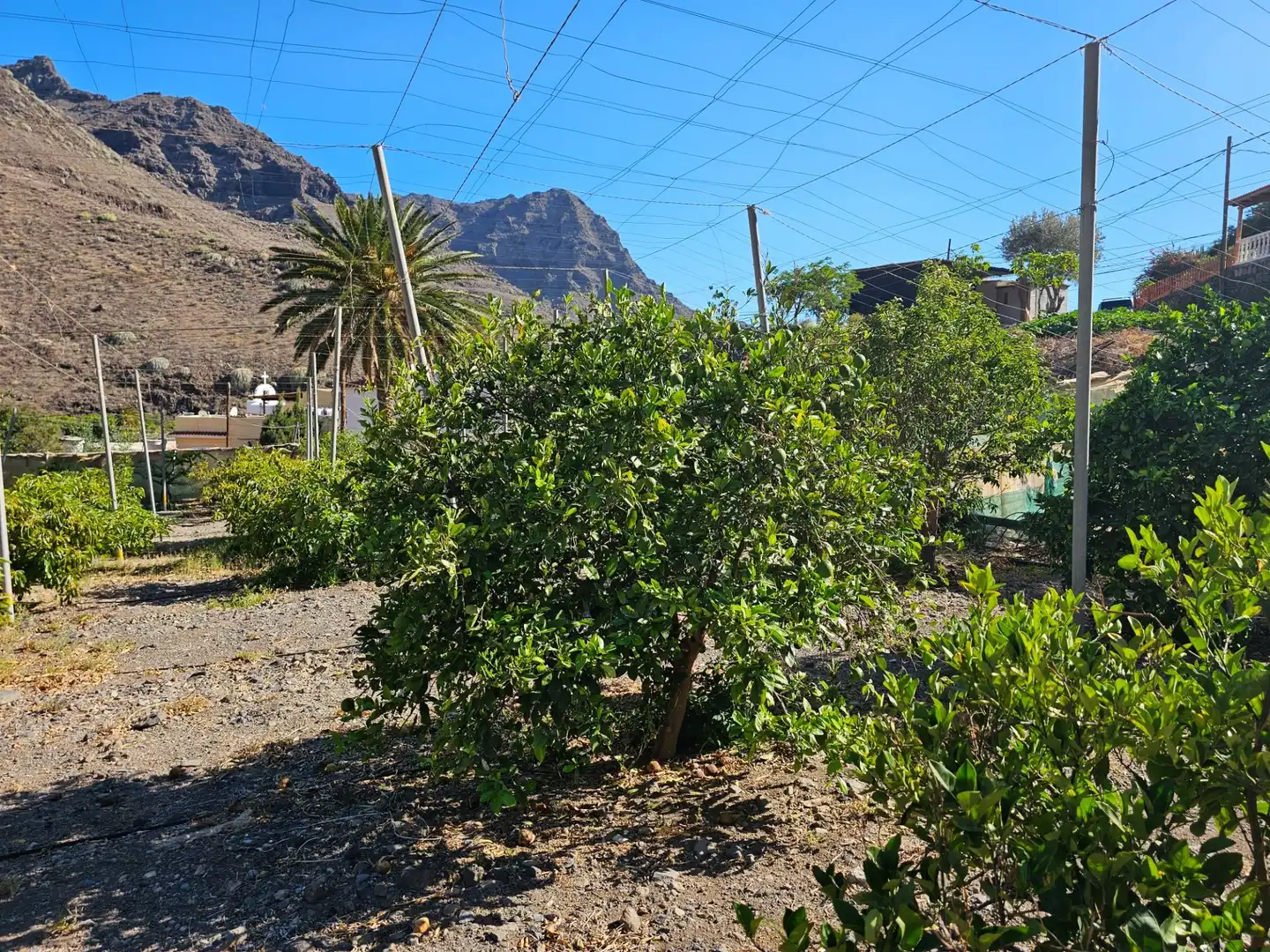 Vista exterior de Finca rústica en venta en La Aldea de San Nicolás  con Jardín privado, Terraza y Trastero
