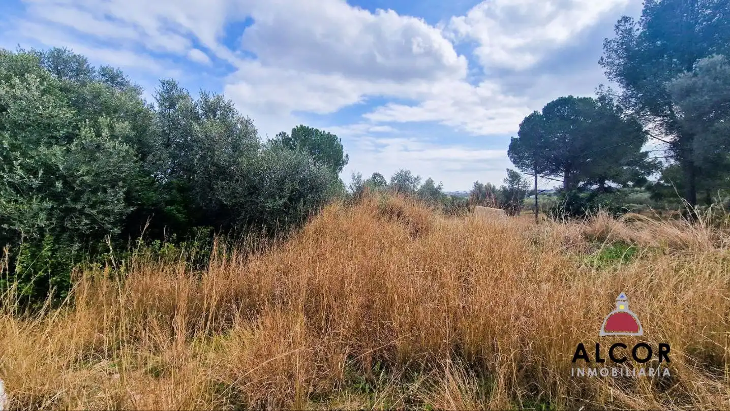Finca rústica en venda en Benicarló