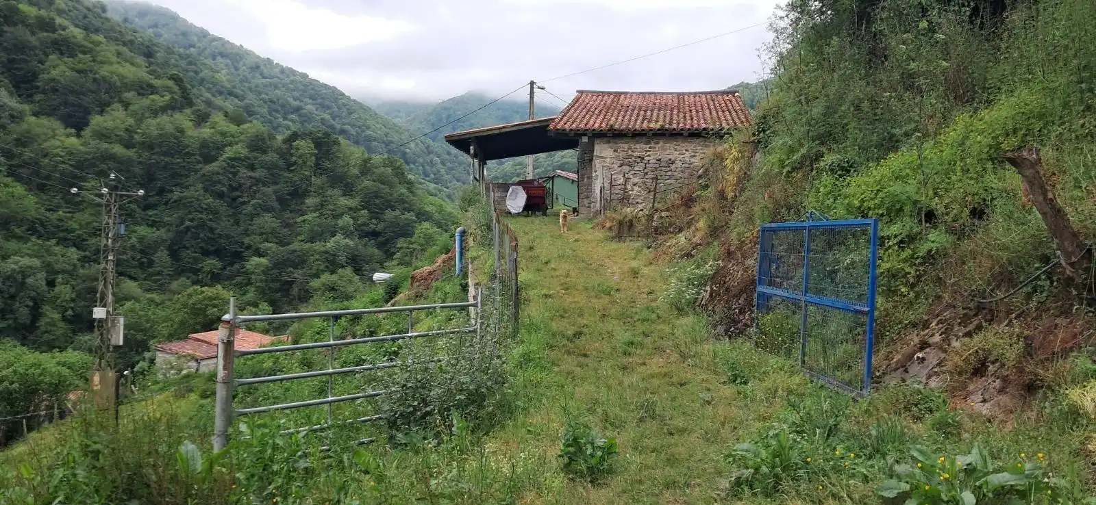 Lands and plots for sale in Lena