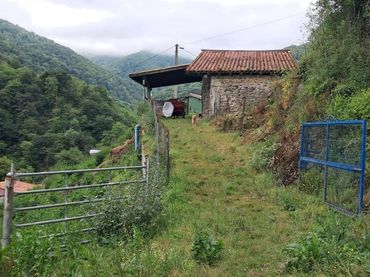Terreno residencial en venta en Lena