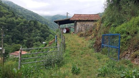 FINCA DE 30.000M2 CON CASA Y CUADRAS