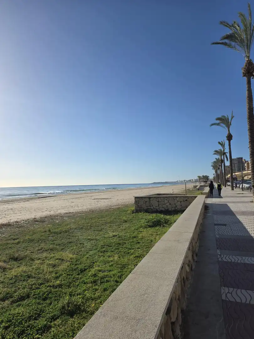 Commercial properties for sale in Playa Muchavista