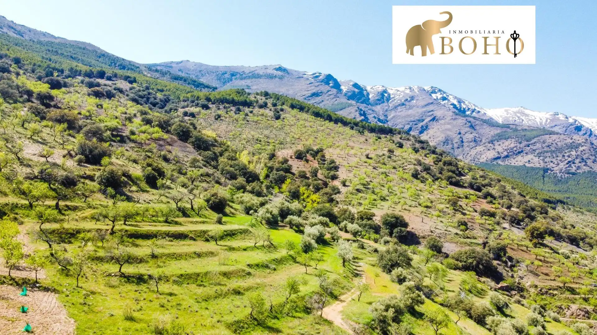 Terrain rustique à vendre à Abrucena, imagen 2