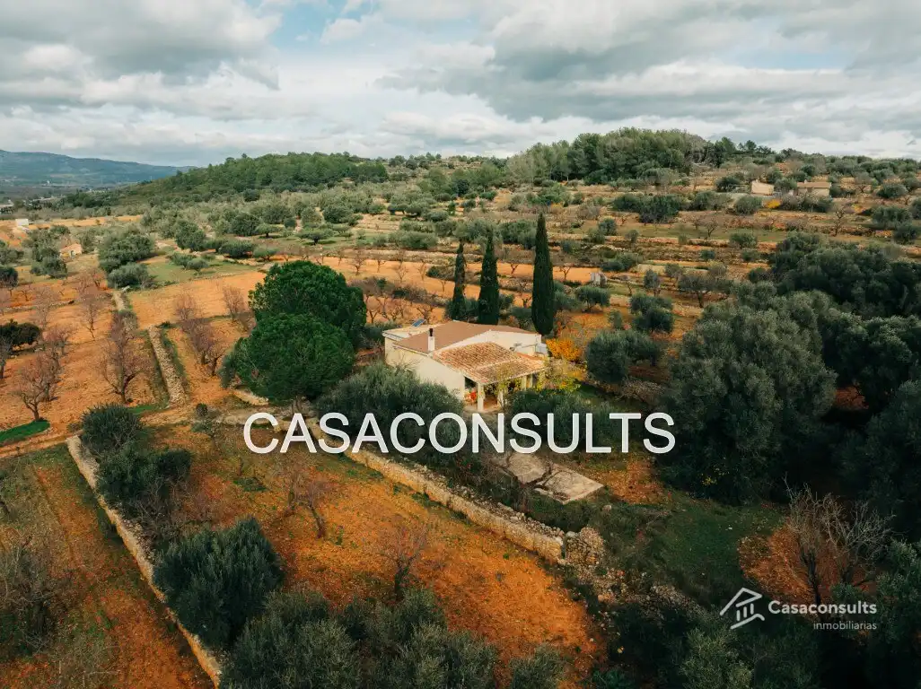 Casa rustica con terrazza in vendita a Vilanova d'Alcolea, imagen 3