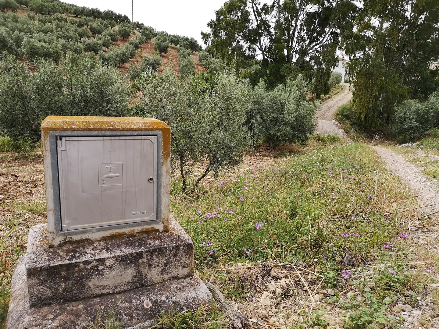 Vista exterior de Finca rústica en venda en Antequera amb Traster