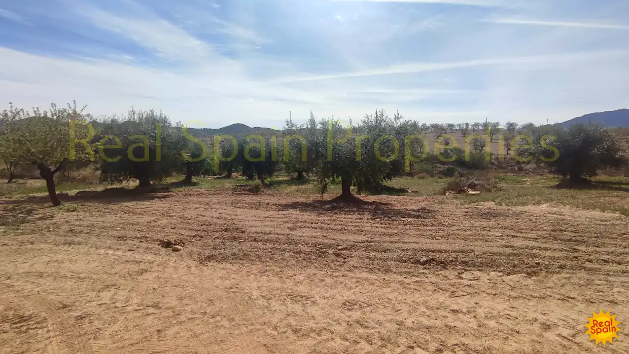 Residential land for sale in Vélez-Rubio, imagen 5