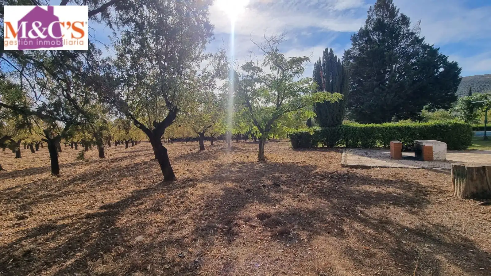 Chalet con terraza en venta en Almodóvar del Campo, imagen 36