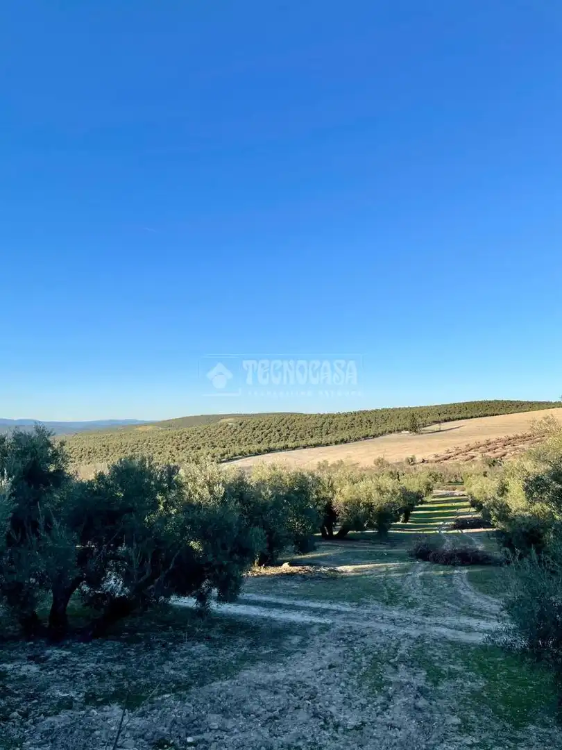 Terrenos y solares en venta en Úbeda, imagen 5