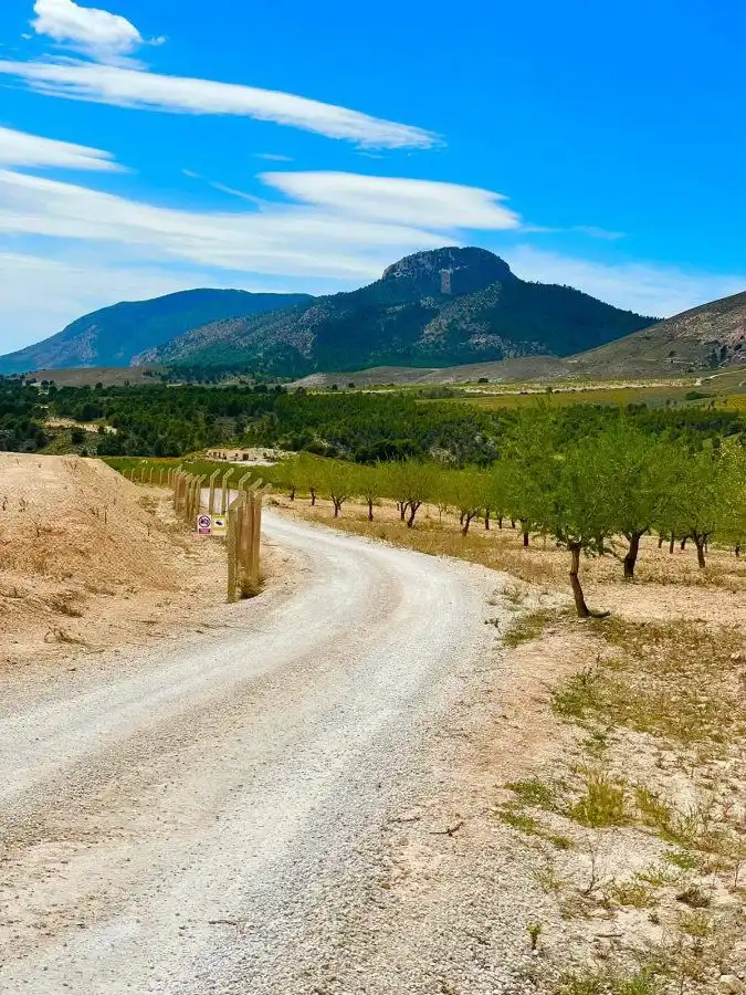 Terreni e lotti in vendita a Pedanías Norte, imagen 16