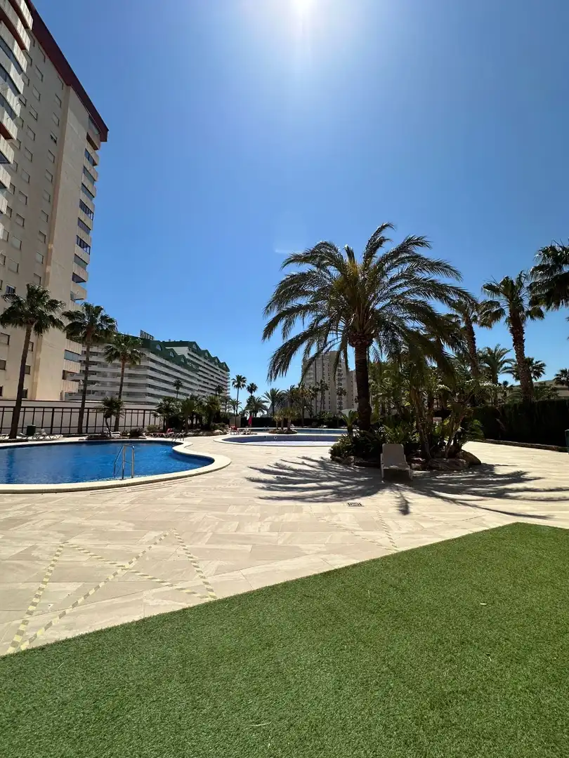 Appartamento con terrazza in affitto a Zona Levante - Playa Fossa, imagen 18