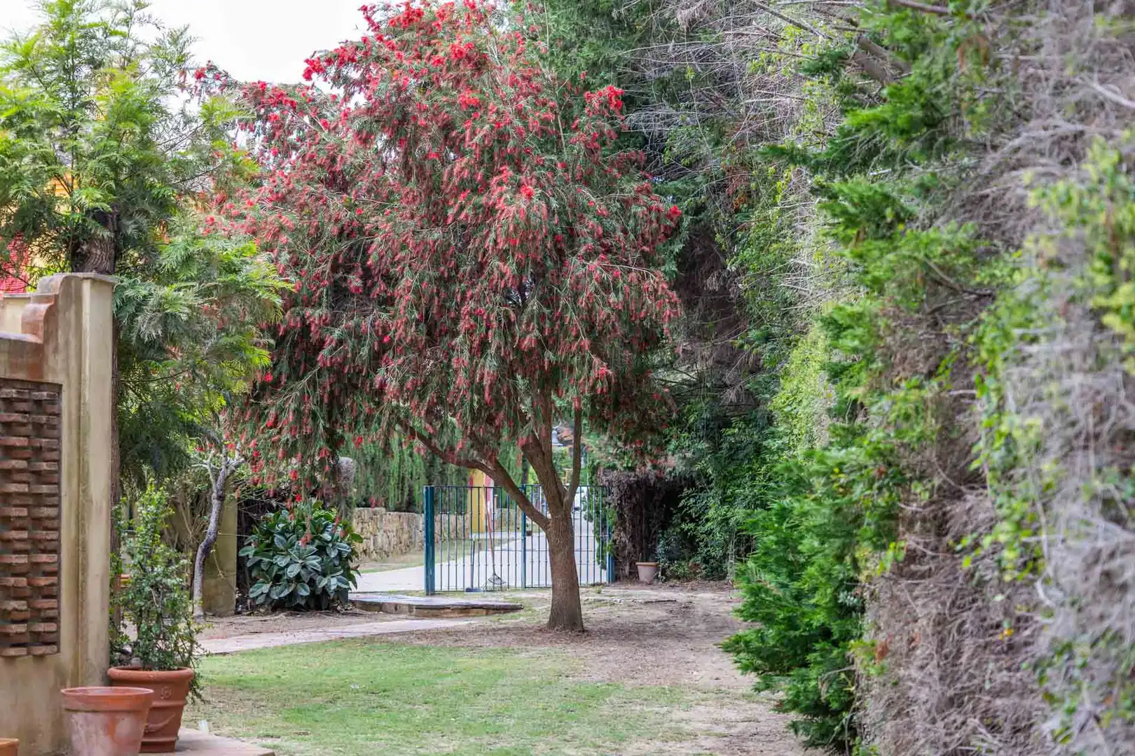 Jardí de Casa adosada en venda en Sotogrande amb Jardí privat, Terrassa i Piscina
