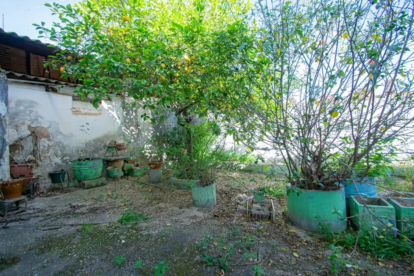 Jardín de Residencial en venta en Dos Hermanas