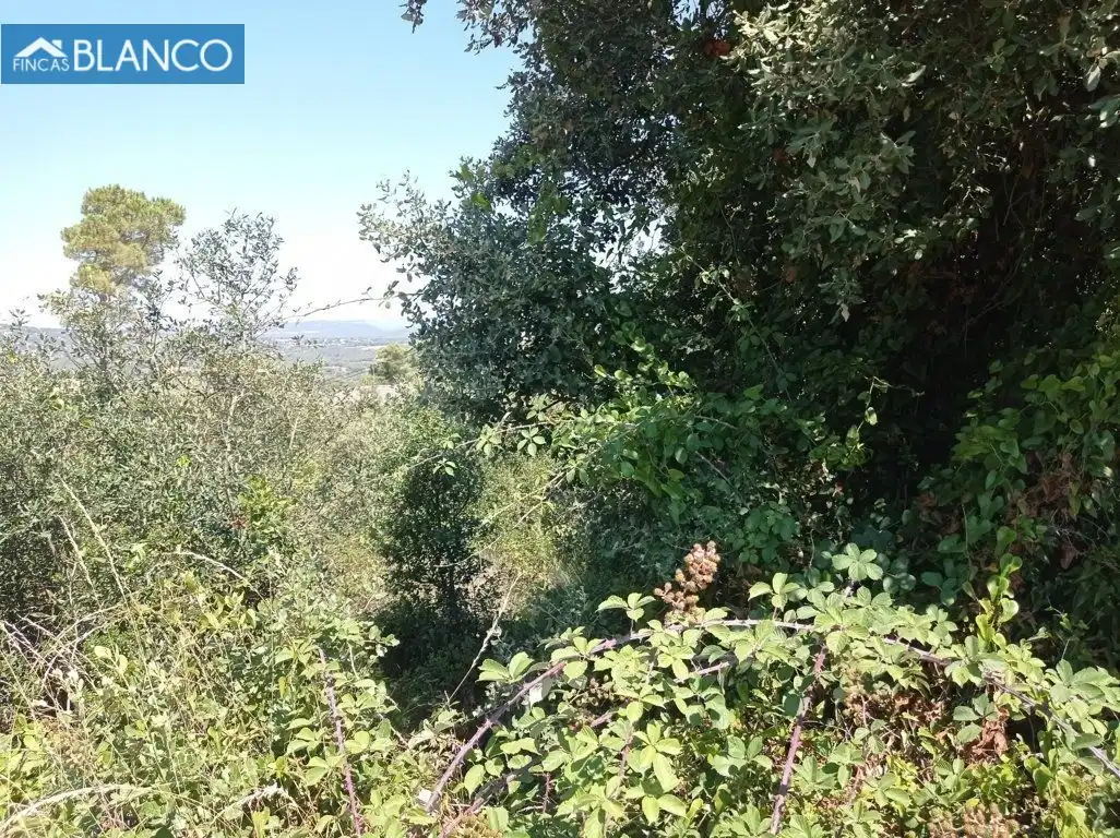 Residential for sale in Calle Montserrat, Mediona