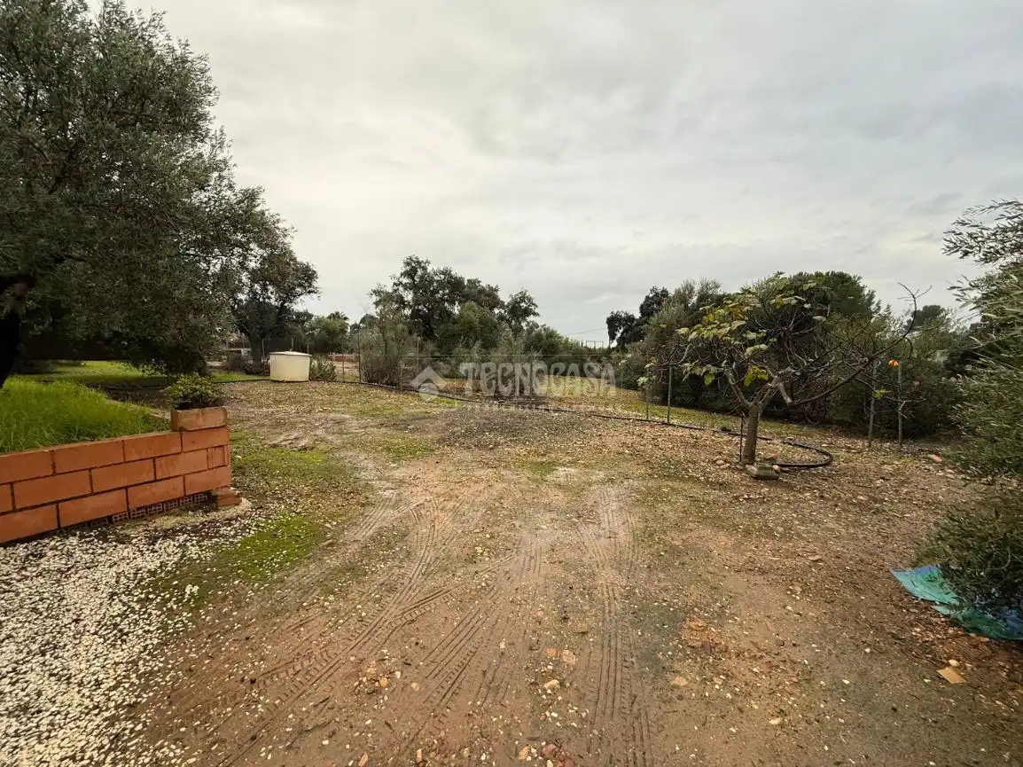 Finca rústica en venta en Los Eucaliptos, La Carlota