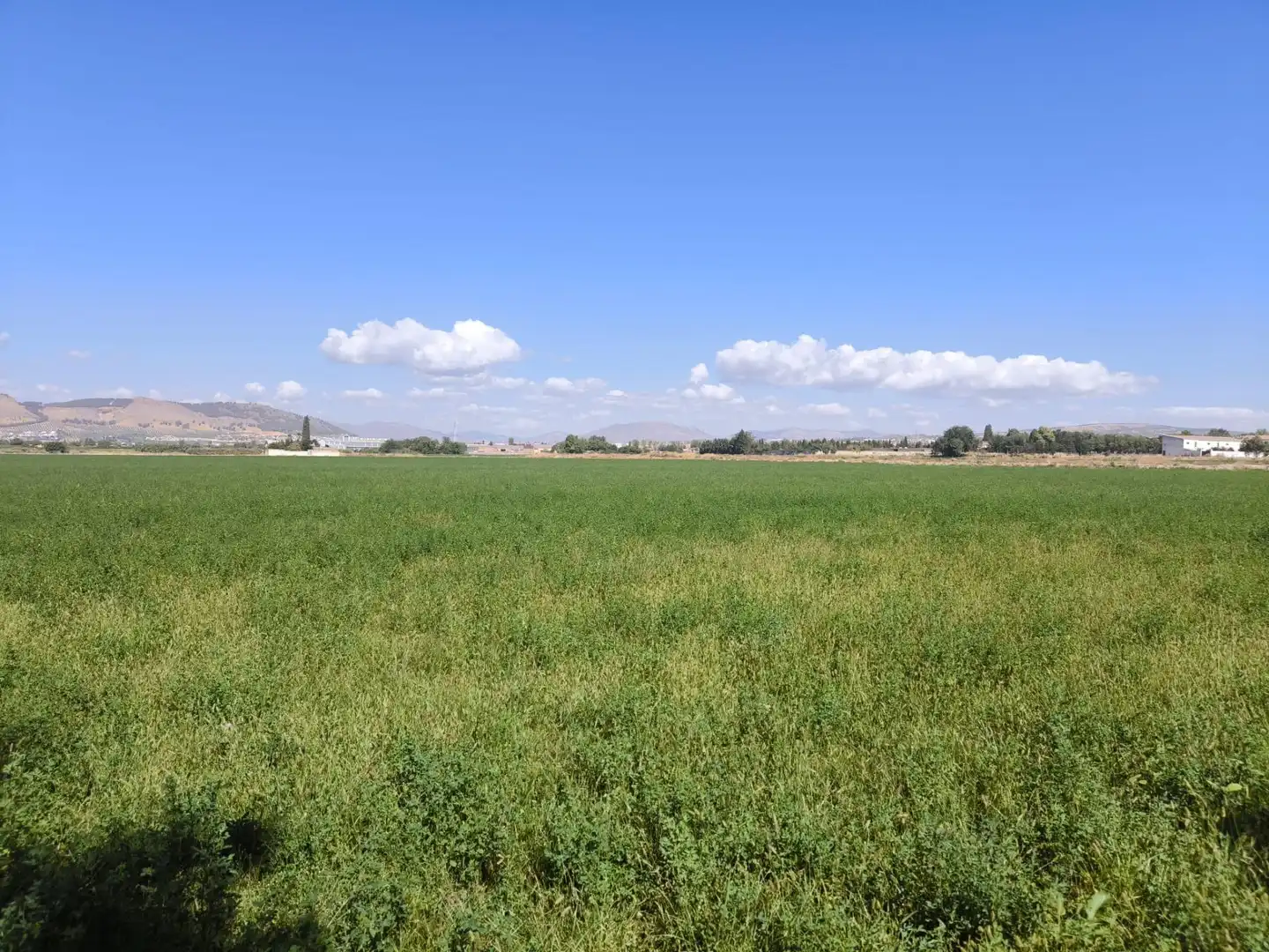 Industrial land for sale in Maracena, Granada