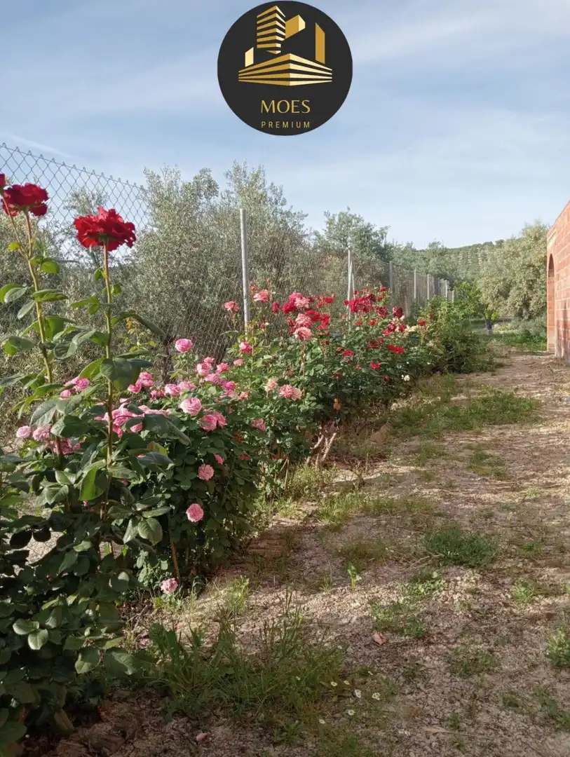 Villa zum Verkauf in Begíjar, imagen 51