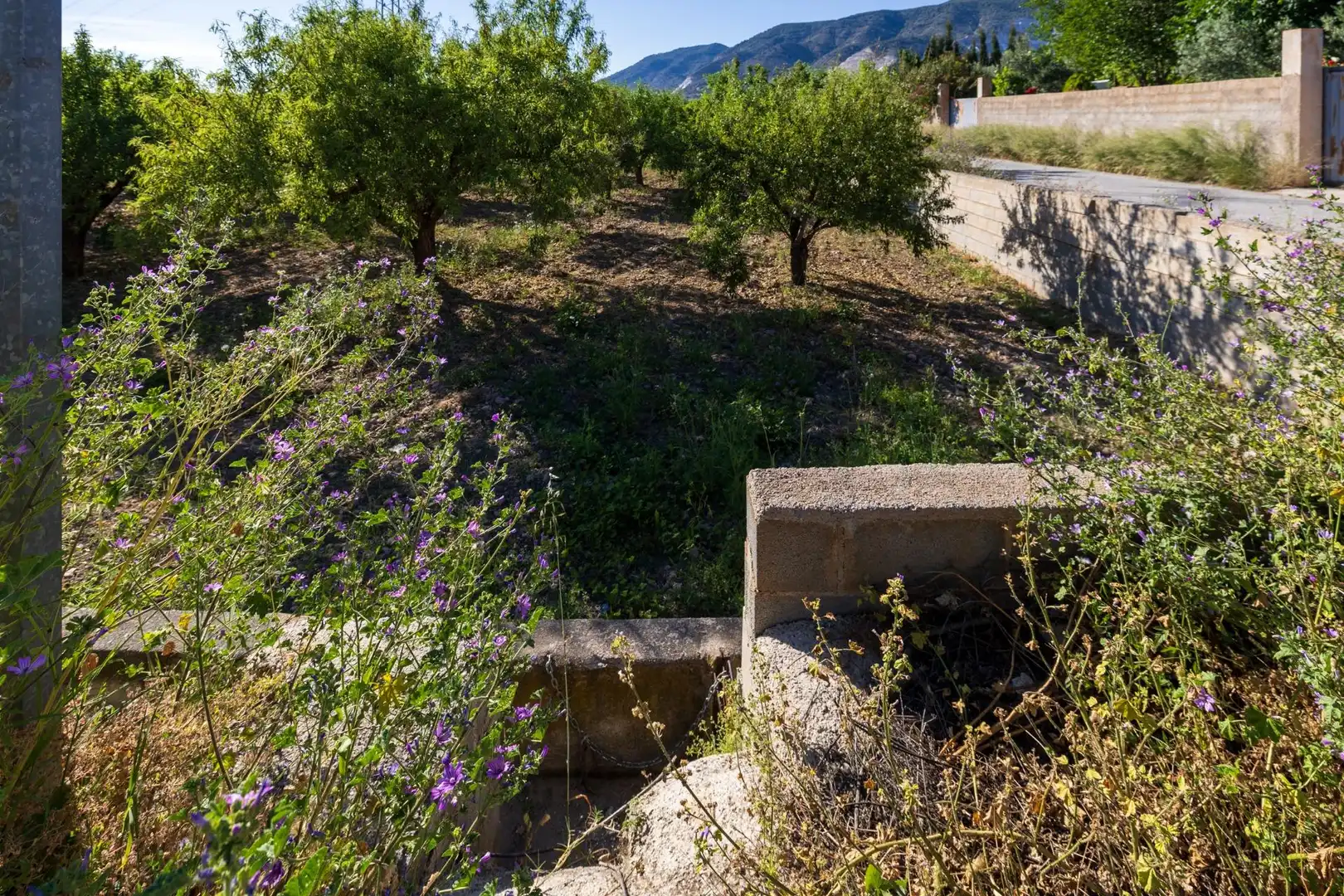 Terreni e lotti in vendita a Dúrcal, imagen 12
