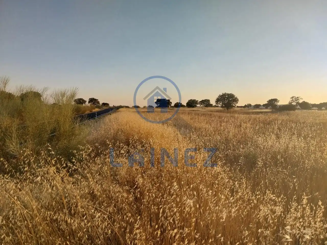 Terreno rustico in vendita a Valsequillo, imagen 3