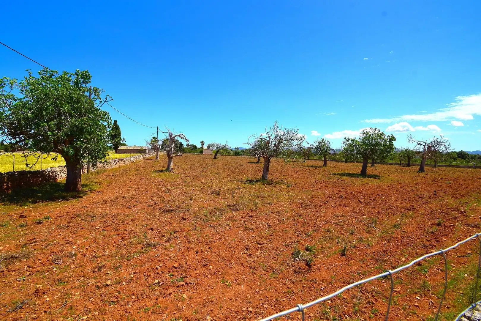Residential land for sale in Santa Margalida Poble, imagen 2