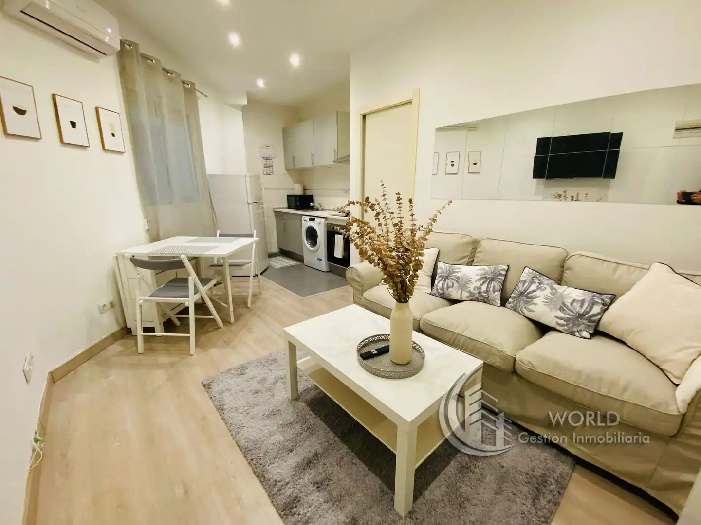 Living room of Apartments for rent in Madrid  with Air Conditioner, Heating and Furnished